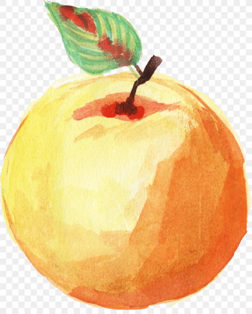Apple Watercolor Painting Image Clip Art, PNG, 1000x1245px, Apple, Art, Art Museum, Drawing, Food Download Free