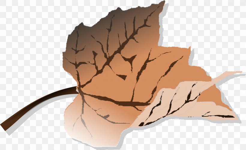 Autumn Leaf Color Clip Art, PNG, 2400x1465px, Leaf, Autumn, Autumn Leaf Color, Brown, Drawing Download Free