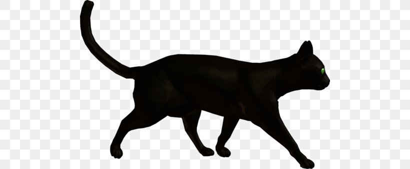 Black Cat Domestic Short-haired Cat Dog Whiskers, PNG, 500x339px, Black Cat, Animal Figure, Asian, Black, Burmese Download Free