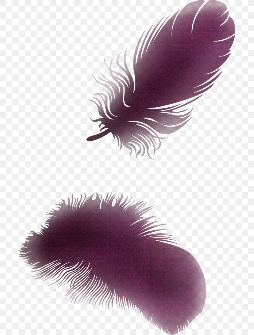 Feather Wing Bird Clip Art, PNG, 699x1080px, Feather, Angel Wing, Bird, Close Up, Drawing Download Free
