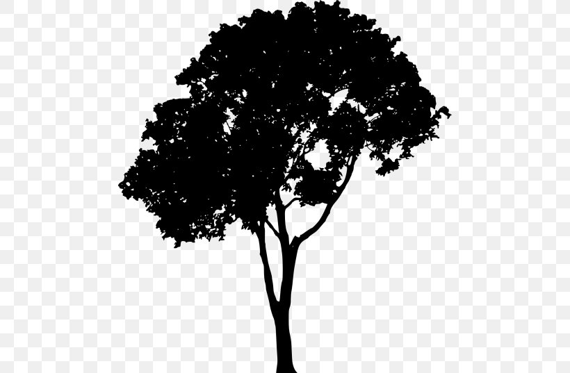 Tree Clip Art, PNG, 480x537px, Tree, Arecaceae, Black And White, Branch, Flowering Plant Download Free