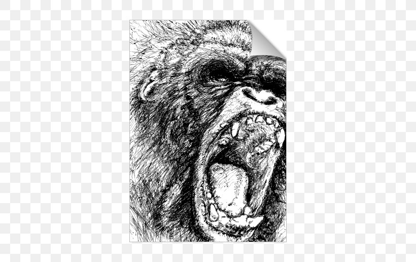 Western Gorilla Ape Chimpanzee Primate Drawing, PNG, 674x516px, Western Gorilla, Ape, Art, Big Cats, Black And White Download Free