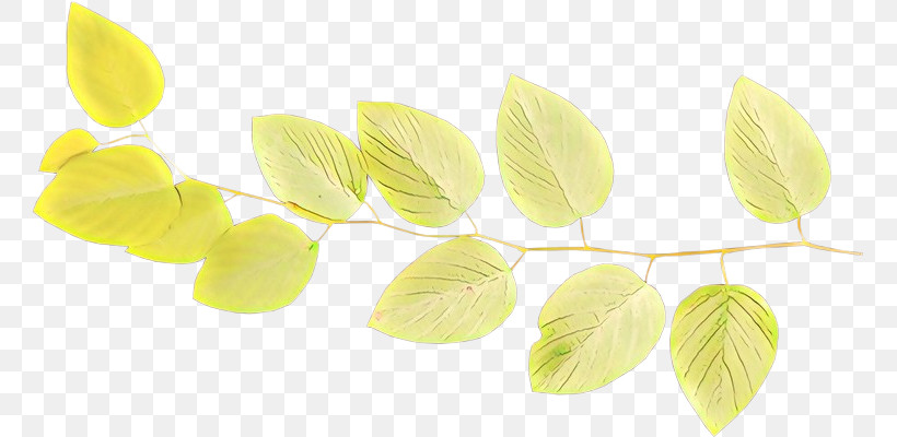 Yellow Leaf Plant Petal, PNG, 761x400px, Yellow, Leaf, Petal, Plant Download Free