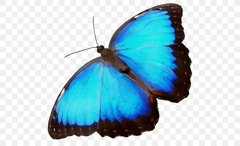 Brush-footed Butterflies Microsoft Azure, PNG, 500x500px, Watercolor, Brushfooted Butterflies, Microsoft Azure, Paint, Wet Ink Download Free
