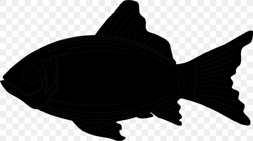 Fish Black M, PNG, 2400x1340px, Fish, Black M, Bonyfish, Carp, Fin Download Free
