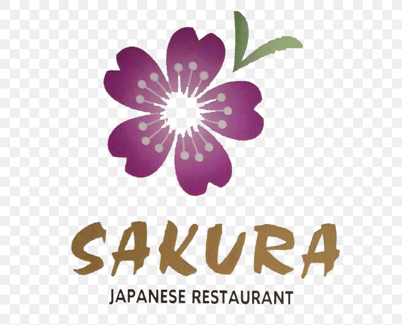 Japanese Cuisine Sushi Samurai Buffalo Take-out Thai Cuisine, PNG, 626x662px, Japanese Cuisine, Brand, Cuisine, Culinary Arts, Delivery Download Free