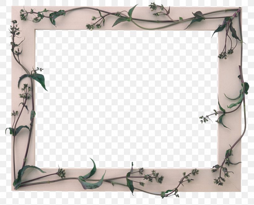 Picture Frames Photography Clip Art, PNG, 1267x1024px, Picture Frames, Border, Film Frame, Leaf, Mirror Download Free
