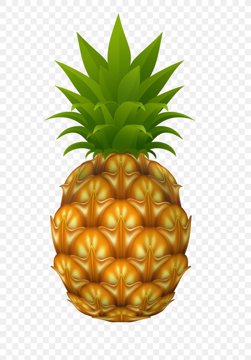 Pineapple Stock Photography Drawing Clip Art, PNG, 628x1175px, Pineapple, Ananas, Bromeliaceae, Cdr, Drawing Download Free