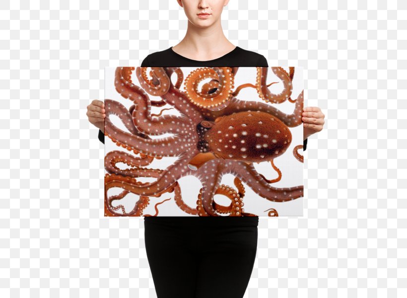 Octopus Neck Blanket Mouse Mats, PNG, 600x600px, Octopus, Blanket, Cephalopod, Invertebrate, Mouse Mats Download Free
