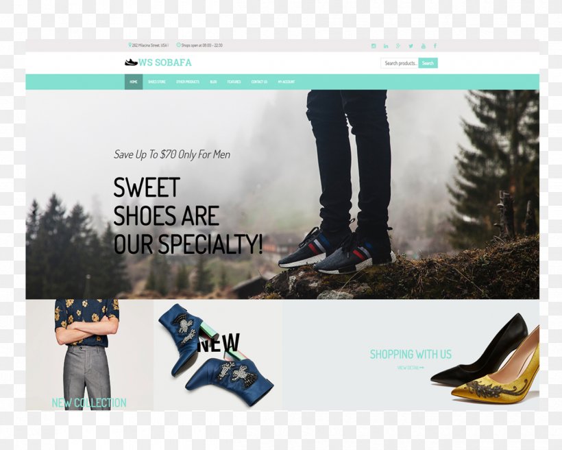 WordPress WooCommerce Website Theme Template, PNG, 1250x1000px, Wordpress, Advertising, Brand, Computer, Ecommerce Download Free