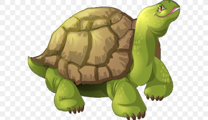 Box Turtles Sea Turtle Tortoise, PNG, 600x474px, Turtle, Box Turtle, Box Turtles, Cartoon, Chelydridae Download Free