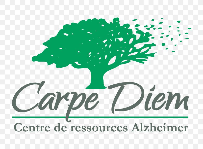 Carpe Diem, PNG, 800x600px, School, Brand, Carpe Diem, Grass, Green Download Free