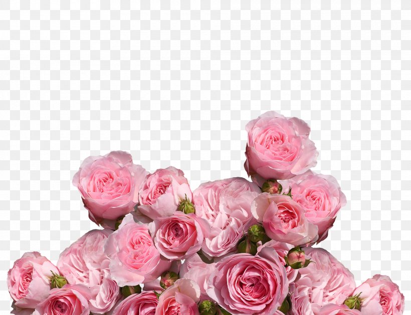 Garden Roses Cabbage Rose Pink Floribunda Flower, PNG, 1920x1473px, Garden Roses, Artificial Flower, Cabbage Rose, Cut Flowers, Floral Design Download Free