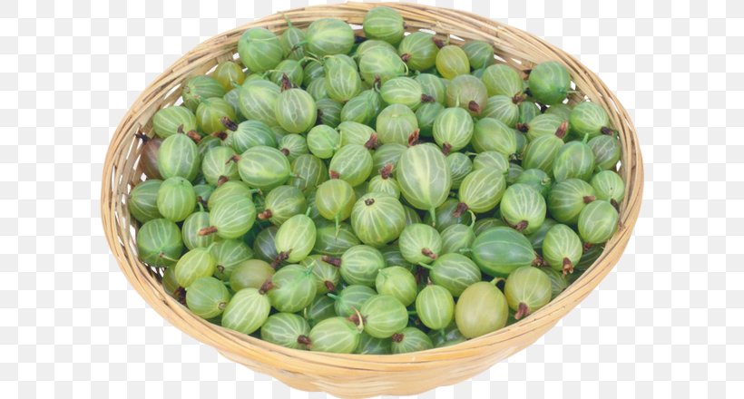 Gooseberry Fruit Varenye Kompot Berries, PNG, 600x440px, Gooseberry, Berries, Blackcurrant, Can, Commodity Download Free