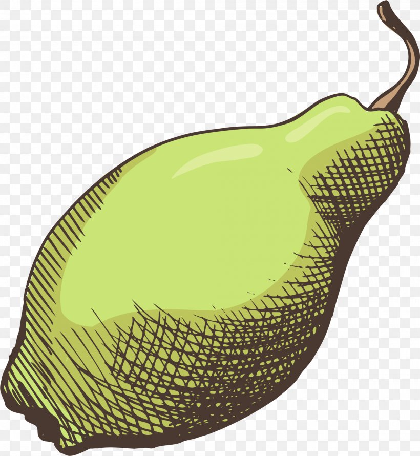 Pear Fruit Food, PNG, 2000x2171px, Pear, Auglis, Drawing, Food, Fruit Download Free