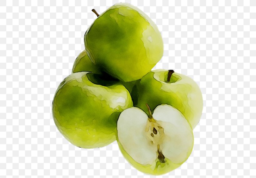 Granny Smith Apple Image Transparency, PNG, 500x568px, Granny Smith, Apple, Flowering Plant, Food, Fruit Download Free