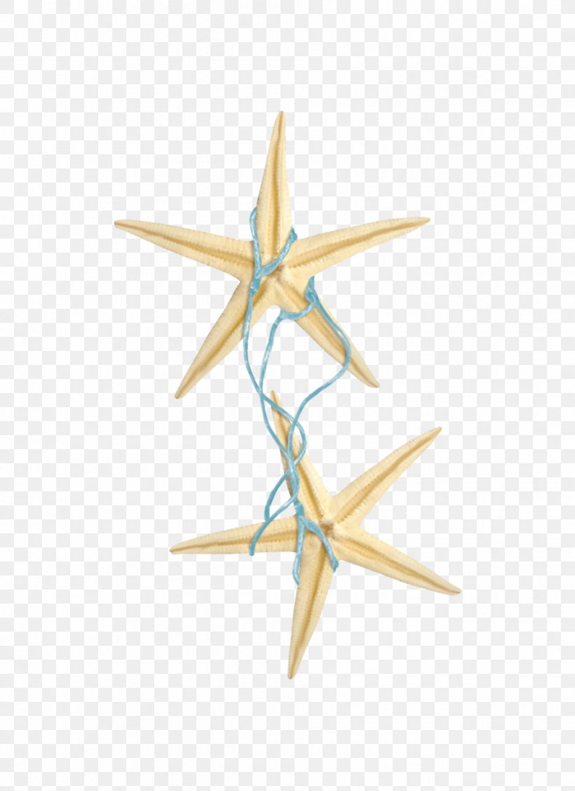 Starfish Rope Blue, PNG, 945x1299px, Starfish, Blue, Centerblog, Invertebrate, Rope Download Free