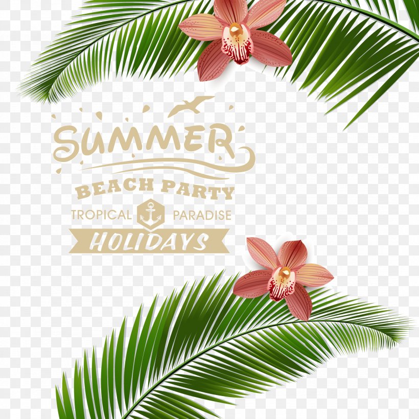 Beach Poster, PNG, 2152x2152px, Beach, Arecales, Branch, Flora, Flower Download Free
