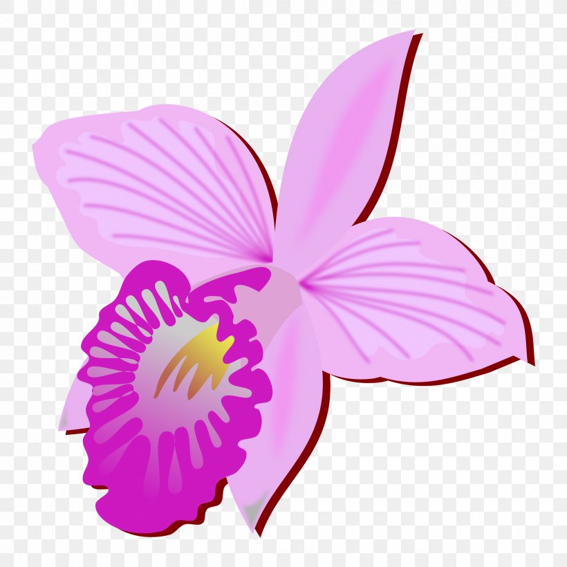 Orchids Arundina Clip Art, PNG, 2400x2400px, Orchids, Arundina, Cattleya, Cattleya Orchids, Drawing Download Free