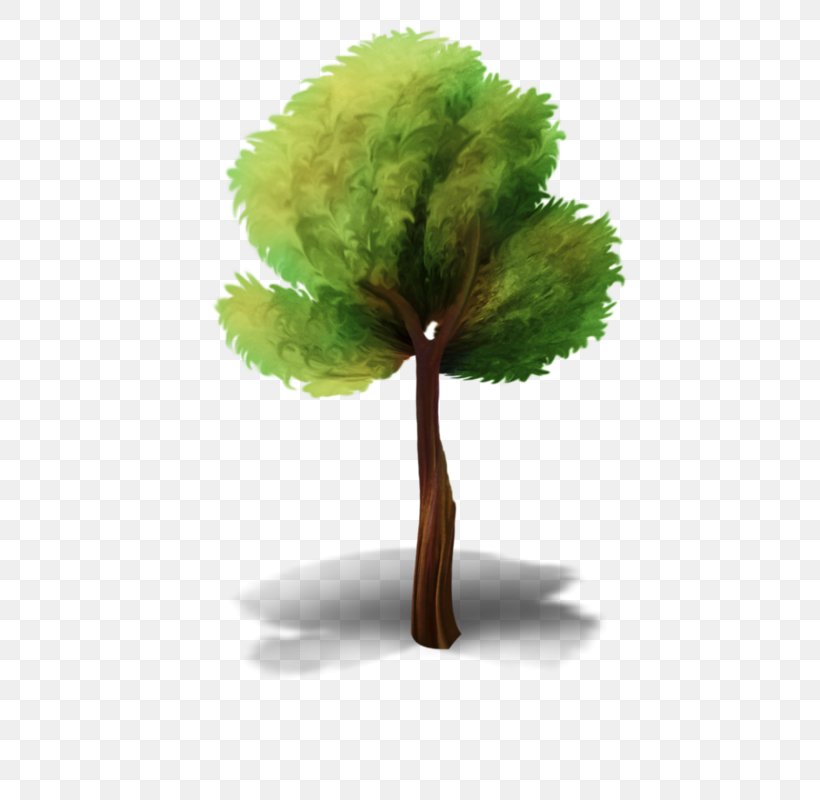 Tree Clip Art Image Animation, PNG, 500x800px, Tree, Animation, Blog, Drawing, Flowerpot Download Free