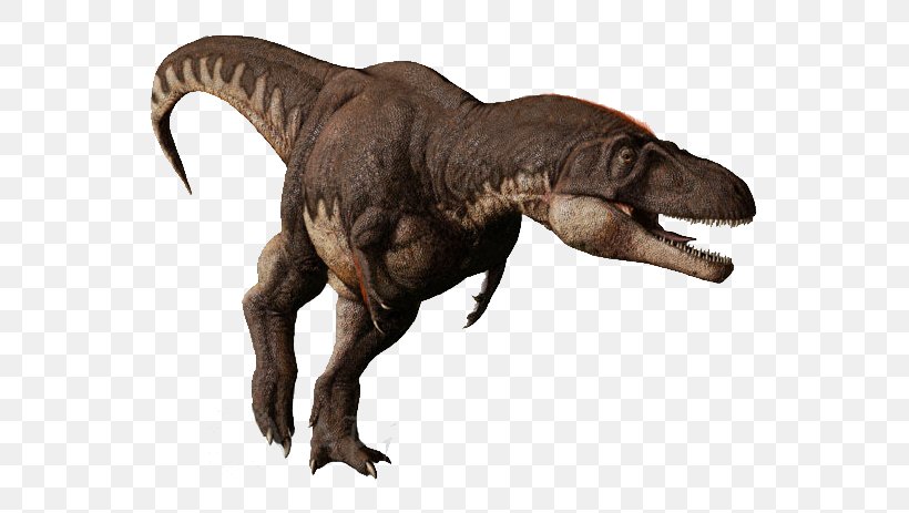 Tyrannosaurus Daspletosaurus Albertosaurus Tarbosaurus Pachyrhinosaurus, PNG, 610x463px, Tyrannosaurus, Albertosaurus, Apex Predator, Daspletosaurus, Dinosaur Download Free