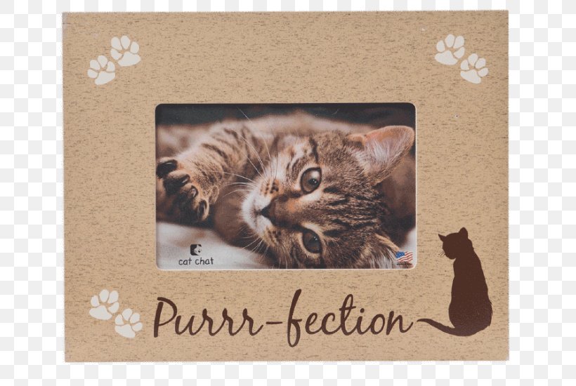 Whiskers Dog Cat Kitten Picture Frames, PNG, 733x550px, Whiskers, Animal Rescue Group, Carnivoran, Cat, Cat Like Mammal Download Free