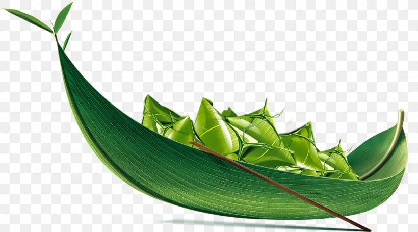 Zongzi Dragon Boat Festival Traditional Chinese Holidays, PNG, 1024x569px, Zongzi, Dragon Boat, Dragon Boat Festival, Festival, Grass Download Free