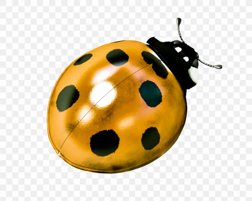 Ladybird Beetle Filmmaking Production Companies, PNG, 1008x803px, Ladybird Beetle, Award, Beetle, Comedy, Company Download Free