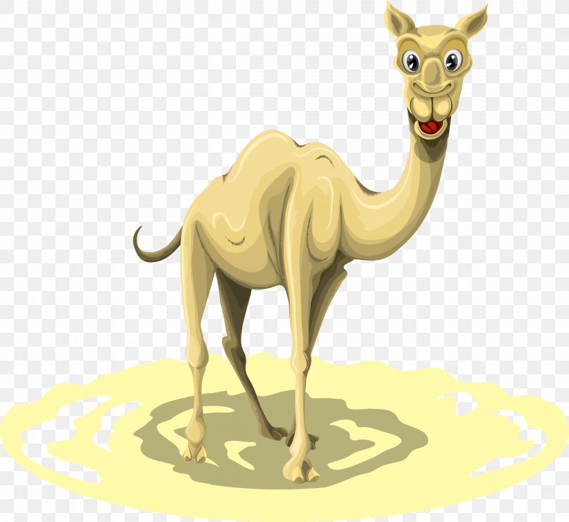 Dromedary Llama Illustration, PNG, 4609x4234px, Dromedary, Animal, Arabian Camel, Camel, Camel Like Mammal Download Free