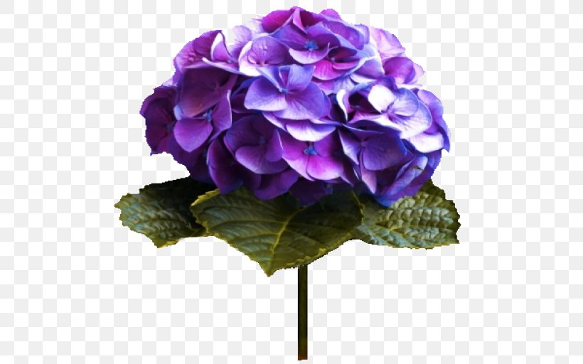 Flower Color Lilac Violet Hydrangea, PNG, 512x512px, Flower, Artificial Flower, Blue, Blume, Color Download Free