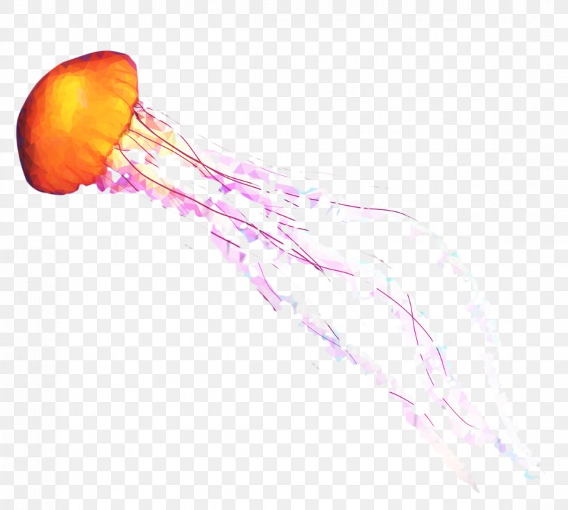 Jellyfish, PNG, 1184x1064px, Jellyfish, Cnidaria Download Free