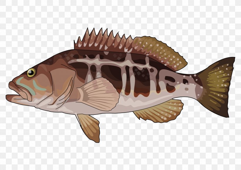 Tilapia Educational Technology Information And Communications Technology, PNG, 3508x2480px, Tilapia, Area, Bass, Blue Shark, Bony Fish Download Free
