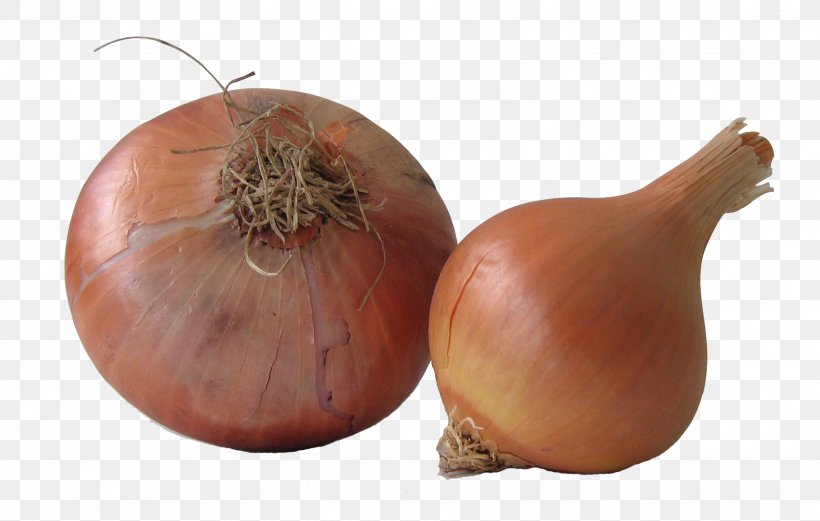 Yellow Onion Shallot Health Caramelization Bulb, PNG, 1857x1181px, Yellow Onion, Allium, Bulb, Caramelization, Coriander Download Free