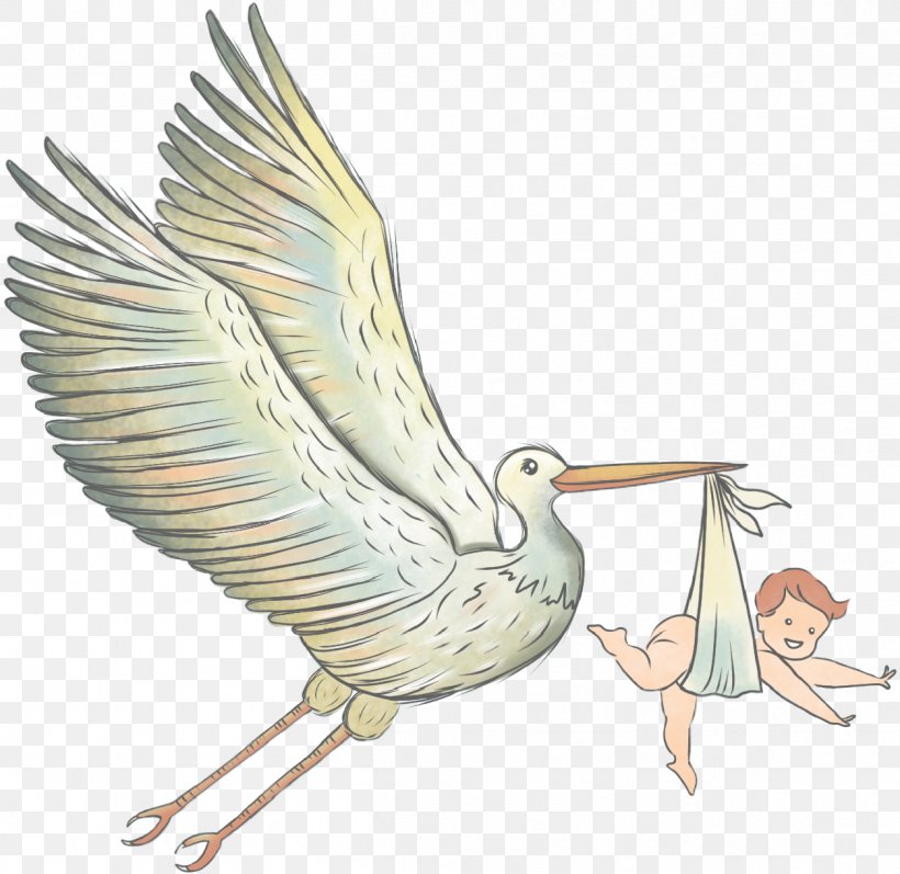 Beak Bird Stork Sea Crane, PNG, 1254x1219px, Beak, Baby Announcement, Bird, Birth, Crane Download Free