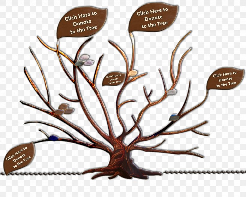 Branch Family Tree Adoption Root, PNG, 3000x2400px, Branch, Adoption, Boyfriend, Donation, Family Download Free
