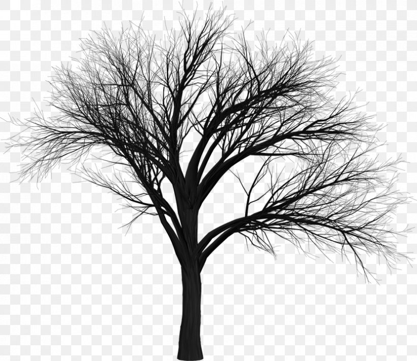 Christmas Black And White, PNG, 830x720px, Tree, Black, Black And White, Blackandwhite, Branch Download Free