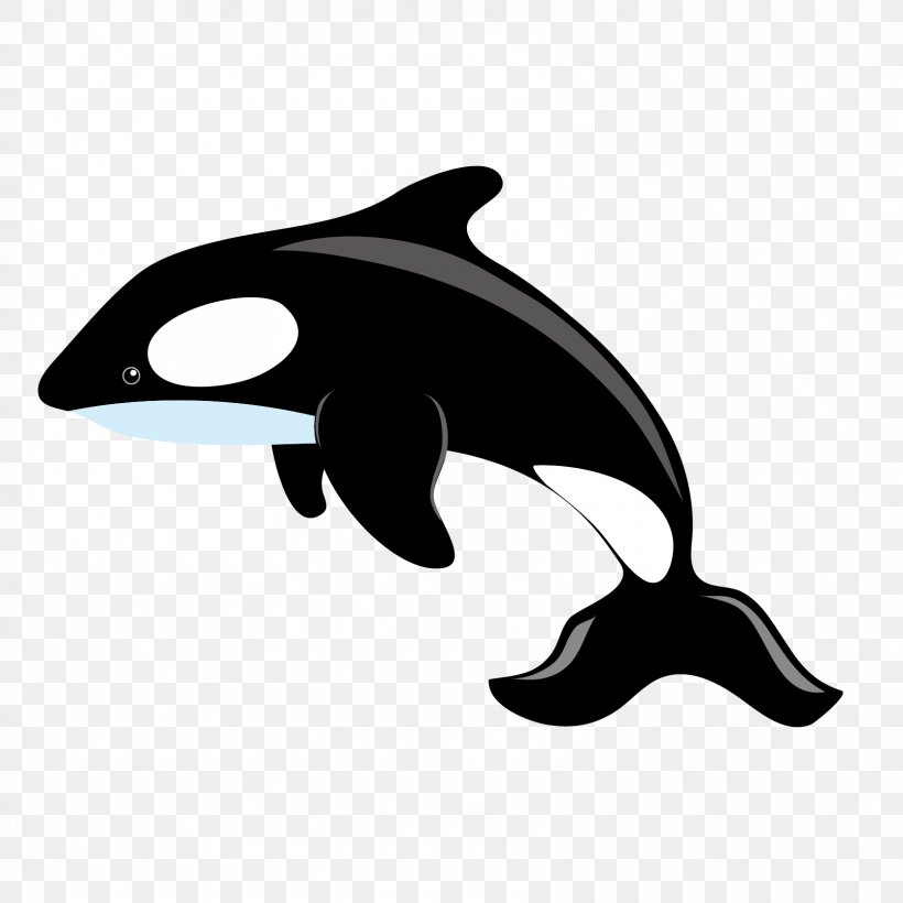 Killer Whale Blue Whale Clip Art, PNG, 1667x1667px, Killer Whale, Black, Black And White, Blue Whale, Dolphin Download Free