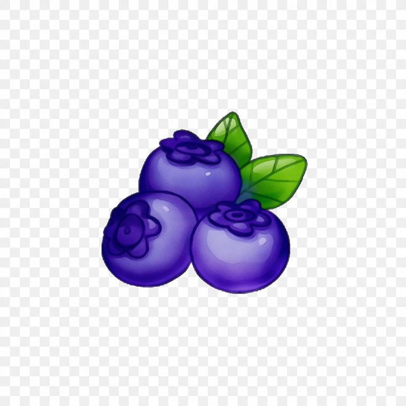 Violet Purple Fruit Berry Grape, PNG, 1024x1024px, Watercolor, Berry, Food, Fruit, Grape Download Free