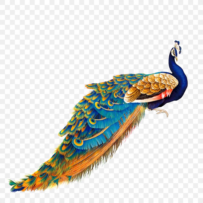 Bird Peafowl Painting, PNG, 1000x1000px, Bird, Advertising, Art, Beak, Color Download Free