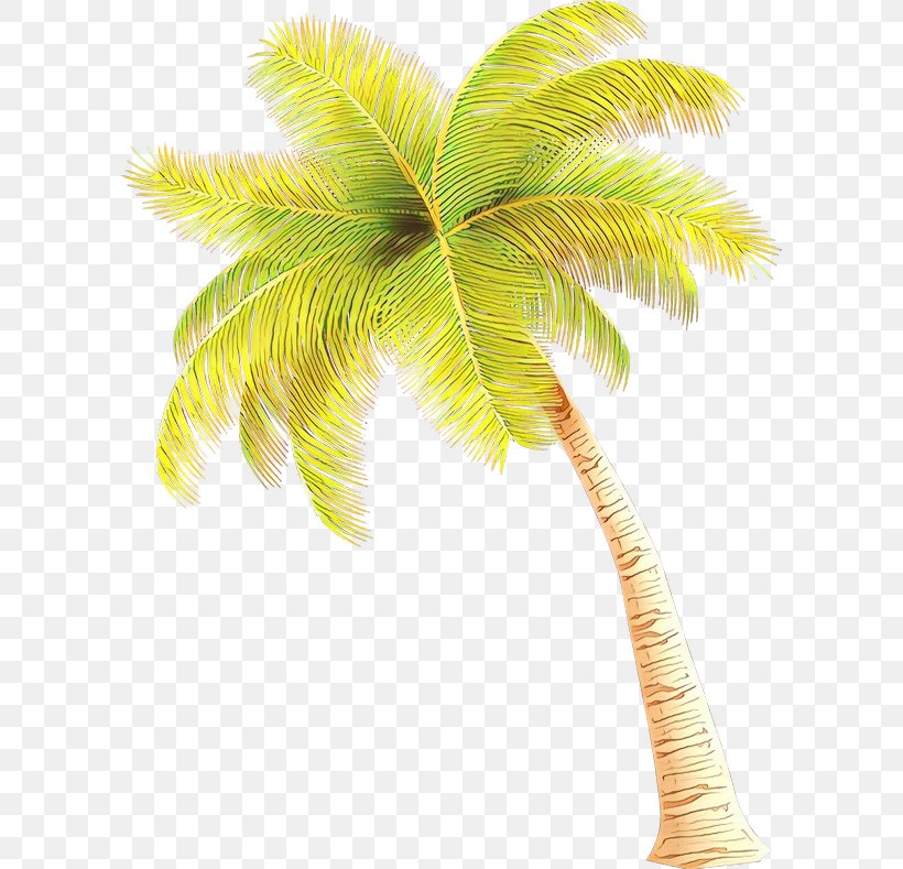 Date Tree Leaf, PNG, 600x789px, Asian Palmyra Palm, Arecales, Borassus, Coconut, Date Palm Download Free