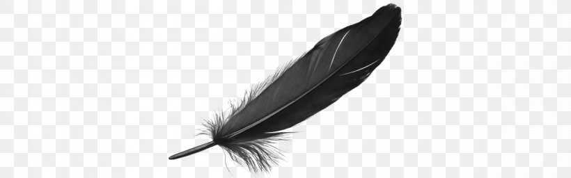 Feather Quill, PNG, 1200x376px, Feather, Bag, Bicast Leather, Black, Black And White Download Free