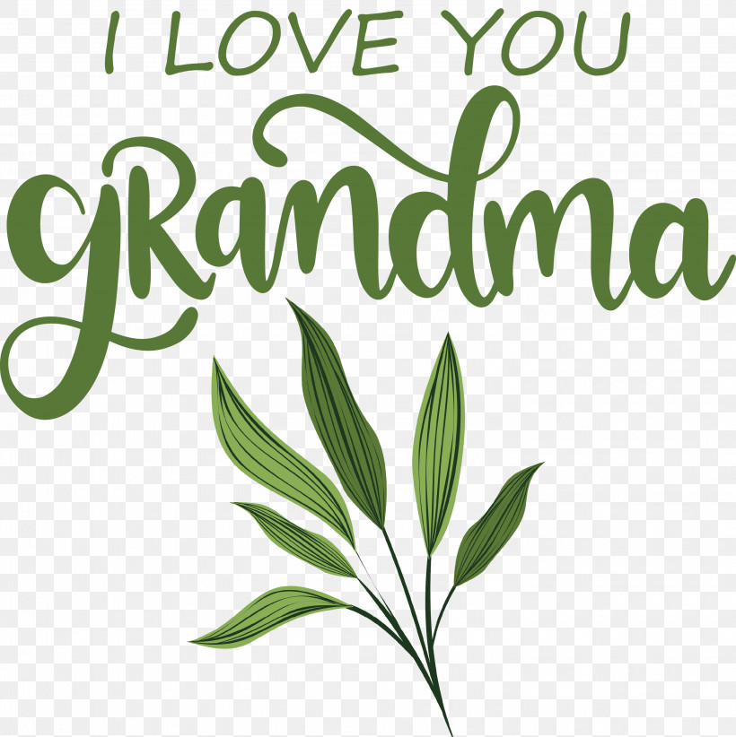 Grandmothers Day Grandma, PNG, 2992x3000px, Grandmothers Day, Branching, Flower, Grandma, Green Download Free