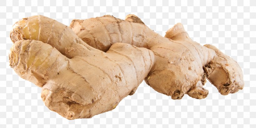 Gingerol Ginataan Extract, PNG, 1726x868px, Ginger, Extract, Food, Galangal, Ginataan Download Free