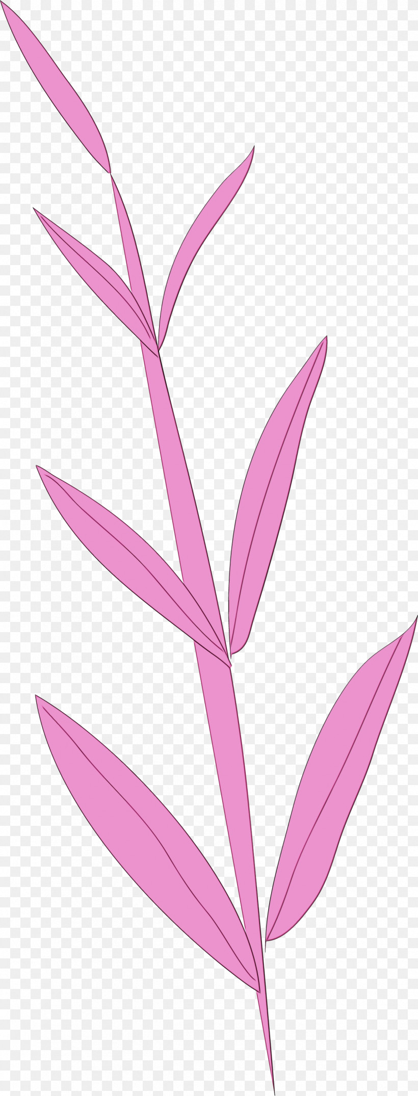 Plant Stem Petal Leaf Pink M Line, PNG, 1264x3315px, Simple Leaf, Biology, Flower, Leaf, Line Download Free