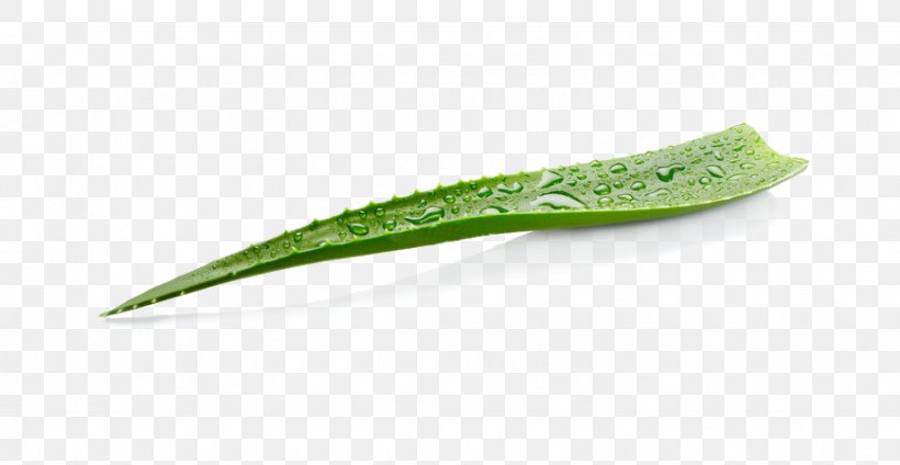 Aloe Vera Medicine Stock Photography Image, PNG, 870x450px, Aloe Vera, Aloes, Anthurium, Flower, Gel Download Free