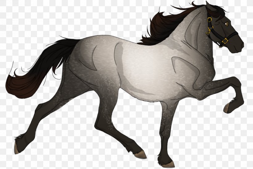 Appaloosa Pony Mustang Mane Bay, PNG, 900x600px, Appaloosa, Animal Figure, Bay, Black, Bridle Download Free