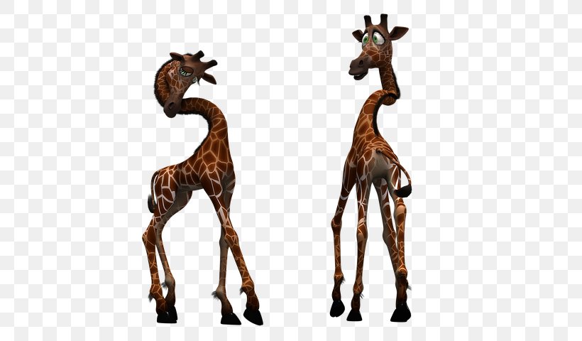 Baby Giraffe Clip Art Mammal Northern Giraffe Reticulated Giraffe, PNG, 640x480px, Baby Giraffe, Animal, Animal Figure, Deer, Giraffe Download Free