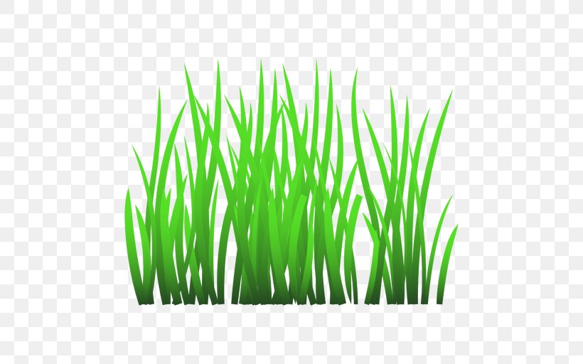 Clip Art Vector Graphics Illustration Drawing, PNG, 512x512px, Drawing, Artificial Turf, Chives, Flowering Plant, Fodder Download Free