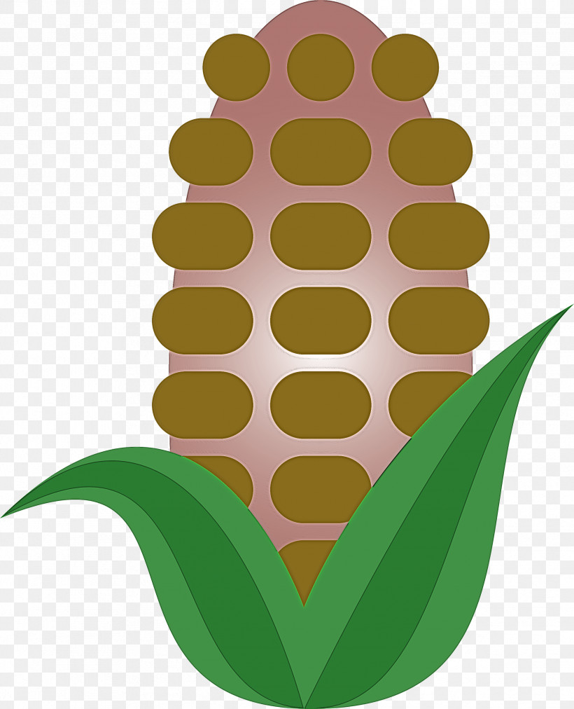 Corn, PNG, 2429x3000px, Corn, Flower, Grass, Green, Houseplant Download Free