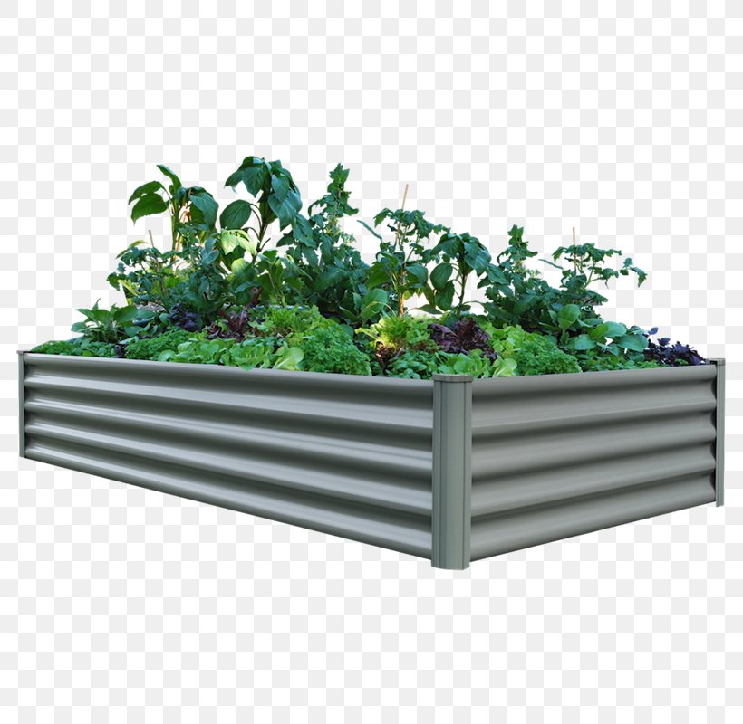 Raised-bed Gardening Organic Food Green Wall, PNG, 800x800px, Raisedbed Gardening, Bed, Bird Baths, Bunnings Warehouse, Corrugated Galvanised Iron Download Free
